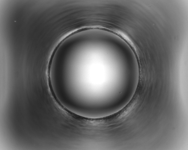 X0000088700951200705311212