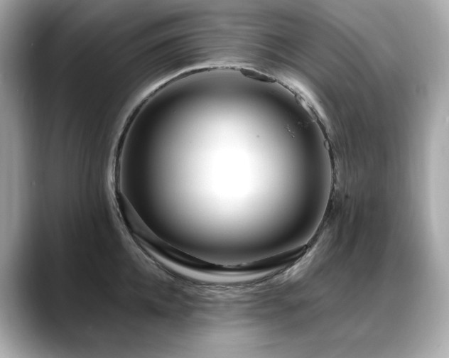 X0000088700952200705311212