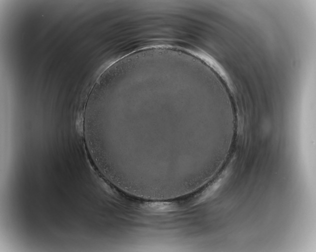 X0000088700953200705311212