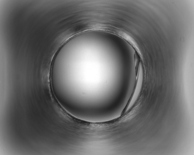 X0000088700954200705311212