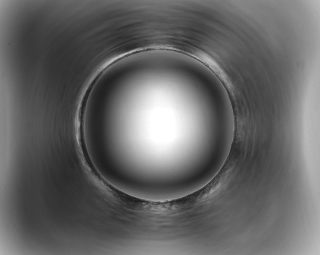 X0000088700955200705311212