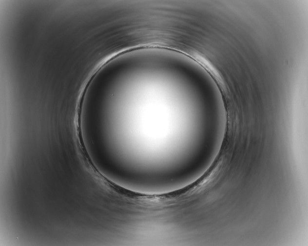 X0000088700956200705311212