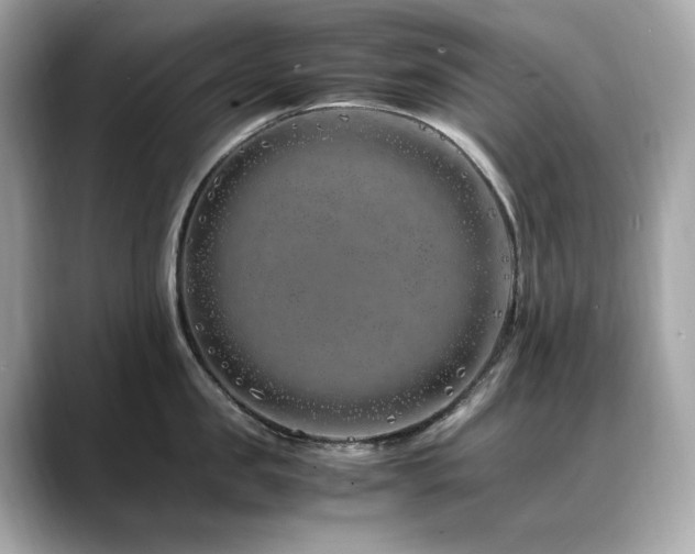 X0000088700957200705311212