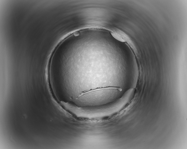 X0000088700958200705311212