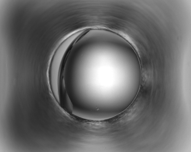 X0000088700959200705311212