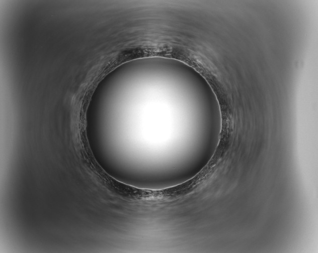 X0000088700961200705311212