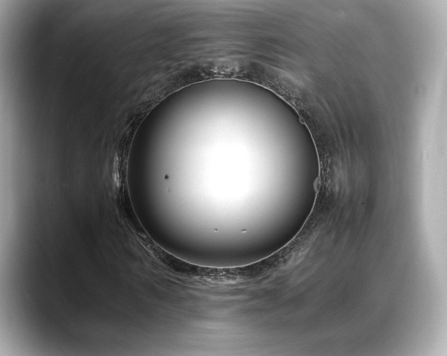 X0000088700962200705311212
