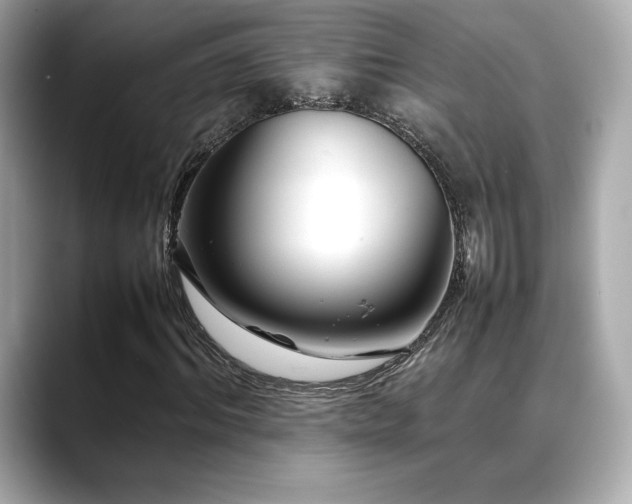 X0000088700964200705311212