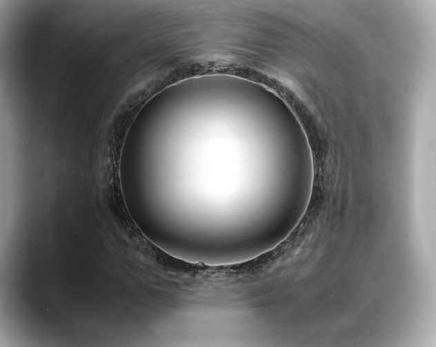 X0000088700967200705311212