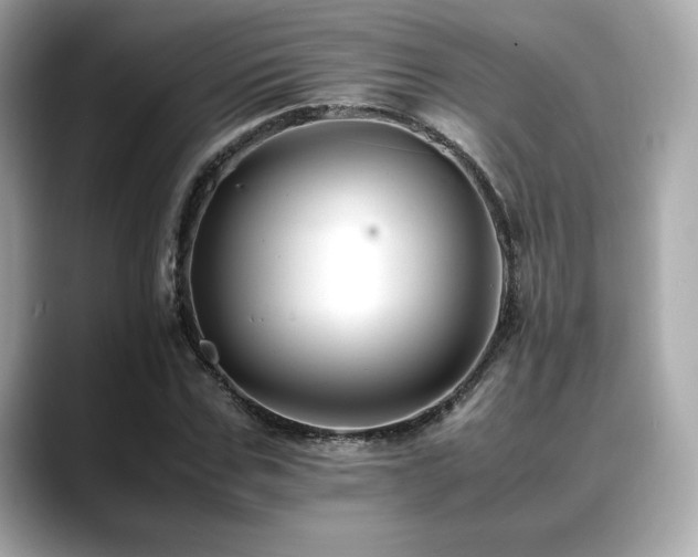 X0000088700971200705311212