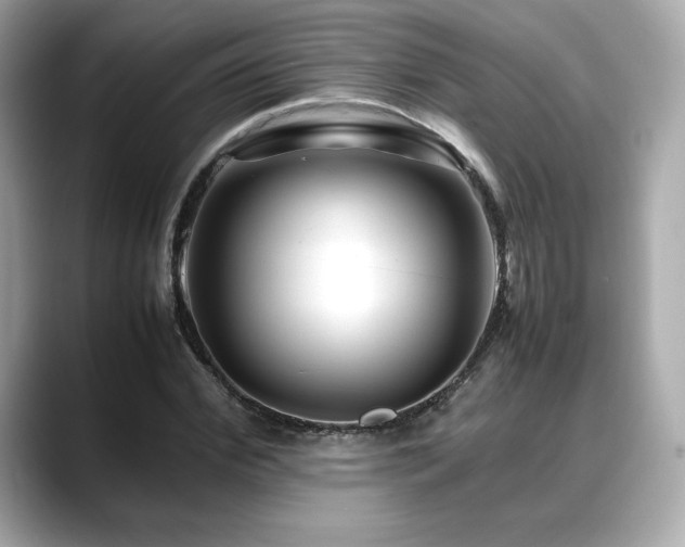 X0000088700972200705311212