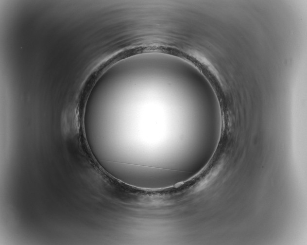 X0000088700973200705311212