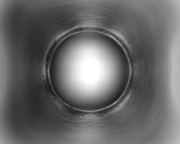 X0000088700974200705311212