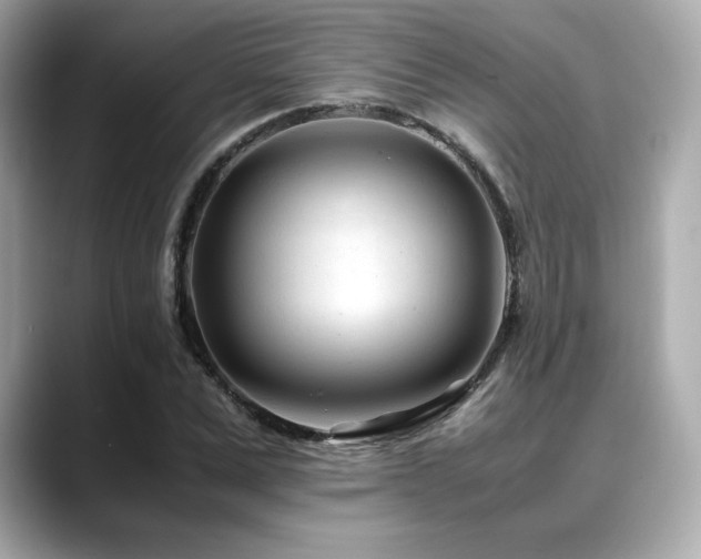 X0000088700975200705311212