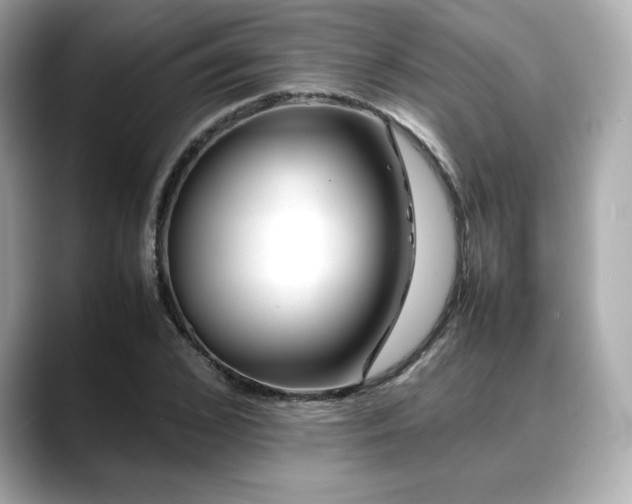 X0000088700976200705311212