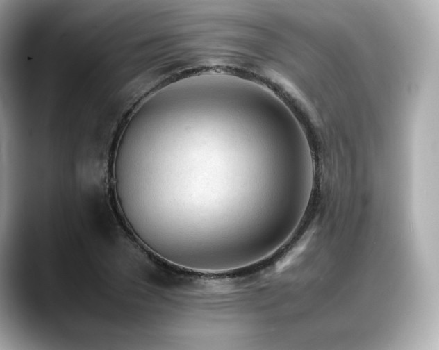 X0000088700977200705311212