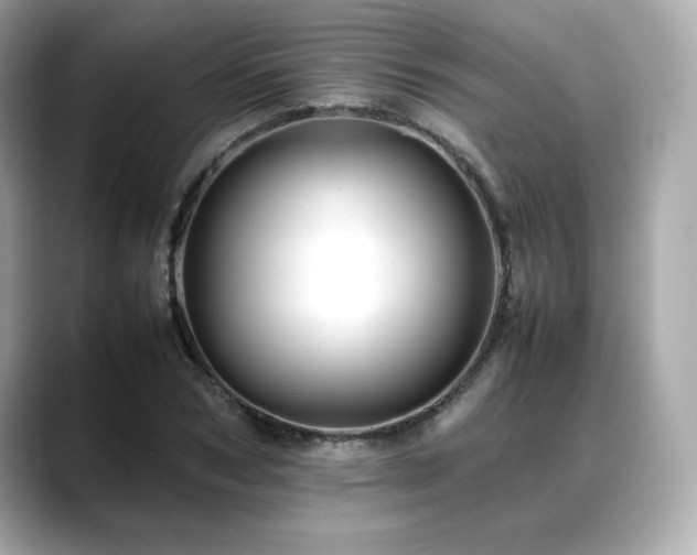 X0000088700978200705311212