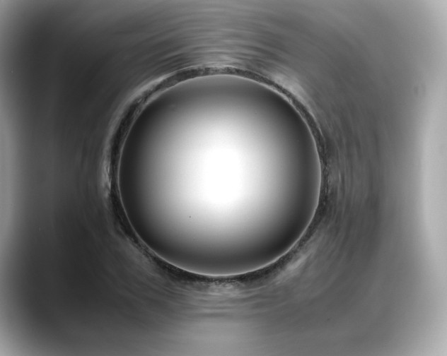 X0000088700979200705311212