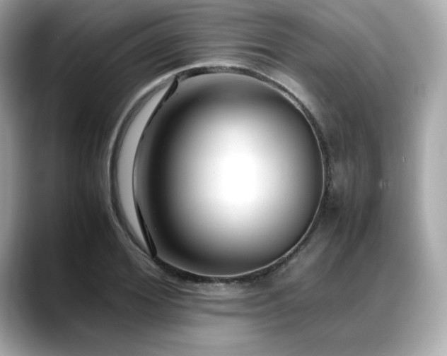 X0000088700980200705311212