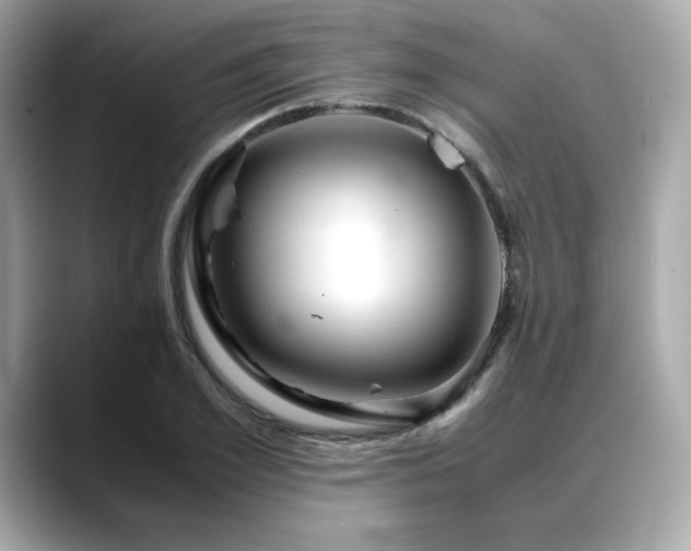 X0000088700981200705311212