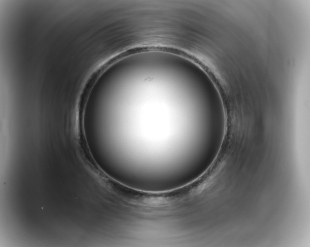 X0000088700982200705311212