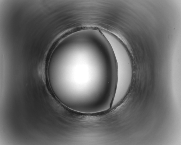 X0000088700984200705311212