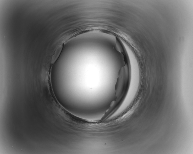 X0000088700985200705311212