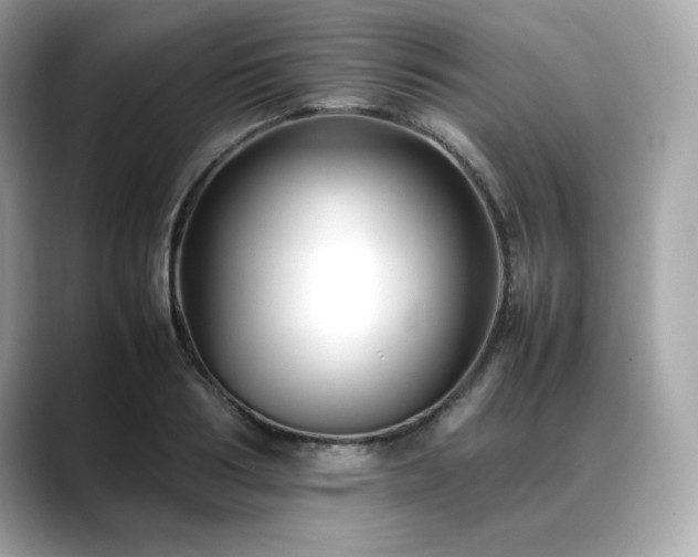 X0000088700986200705311212