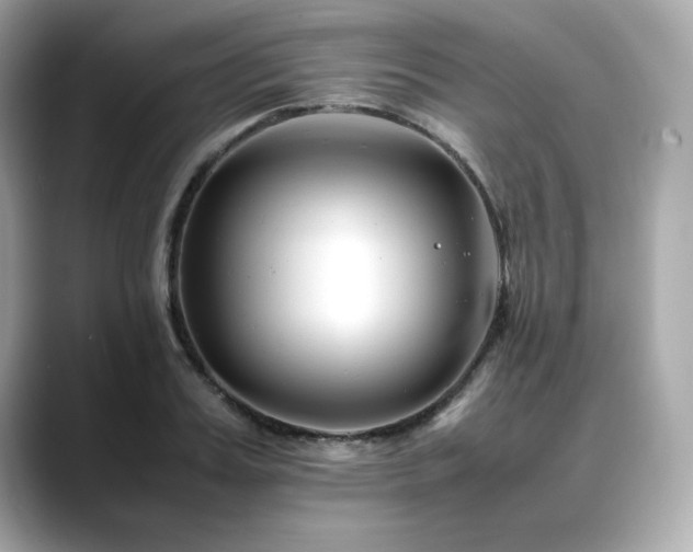 X0000088700987200705311212