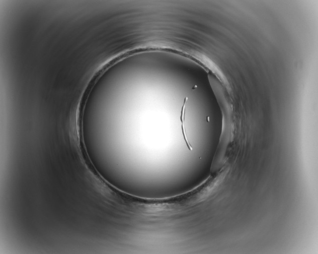 X0000088700988200705311212