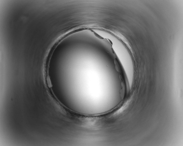 X0000088700989200705311212