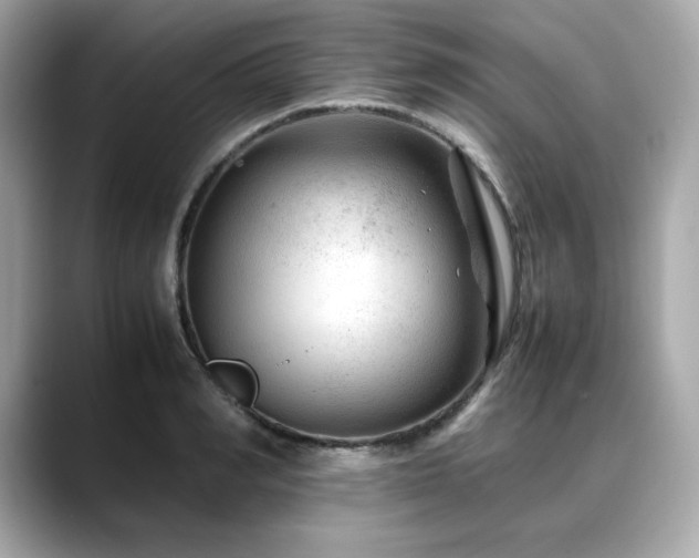 X0000088700990200705311212