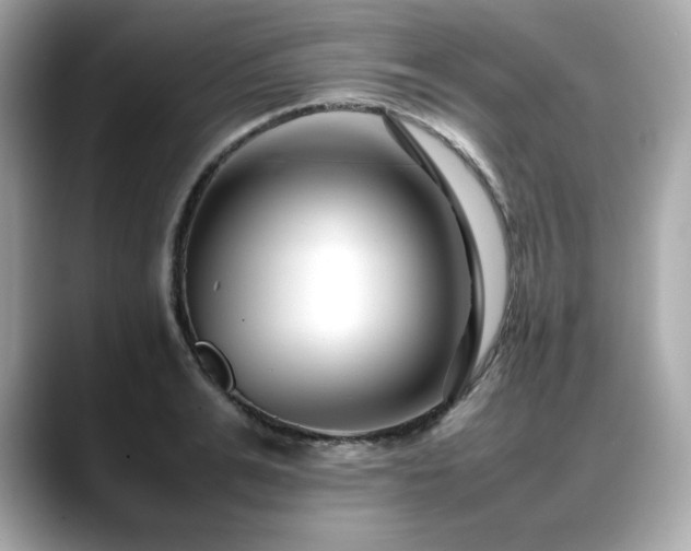X0000088700991200705311212
