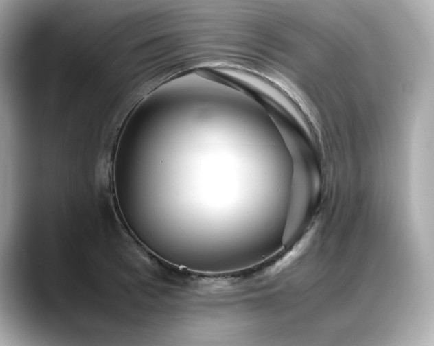 X0000088700993200705311212