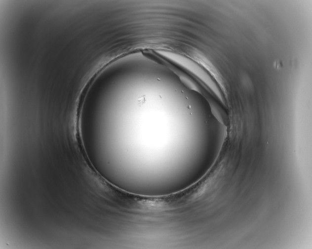 X0000088700994200705311212