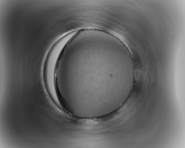 X0000088700995200705311211