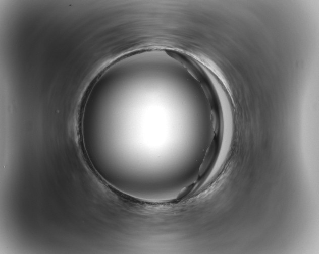 X0000088700997200705311211