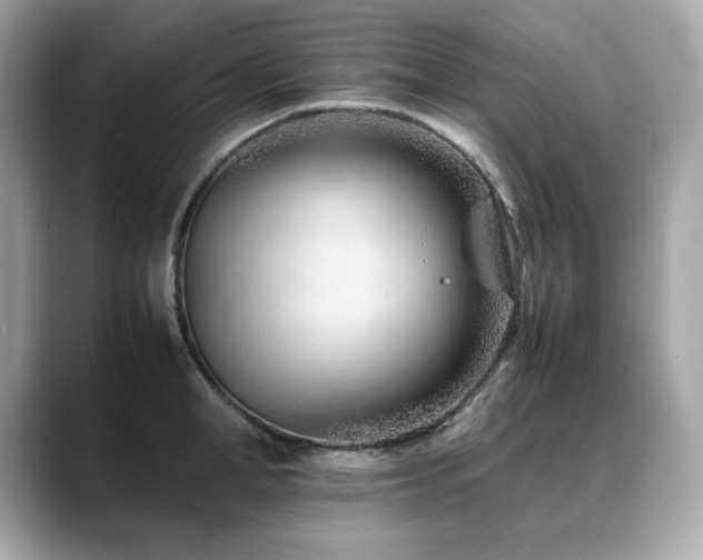 X0000088700998200705311211