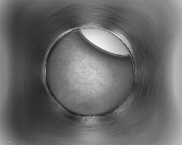 X0000088701000200705311211