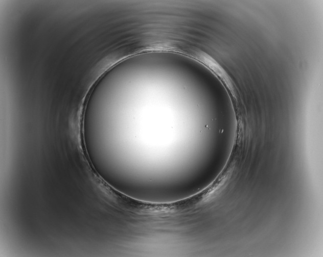 X0000088701002200705311211
