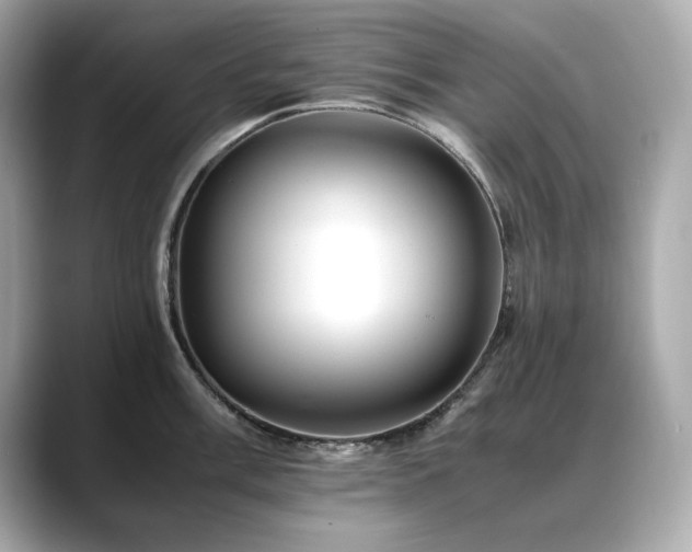 X0000088701003200705311211