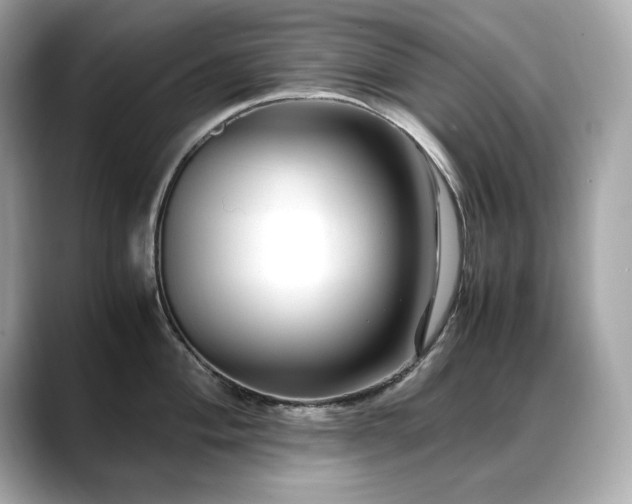 X0000088701004200705311211