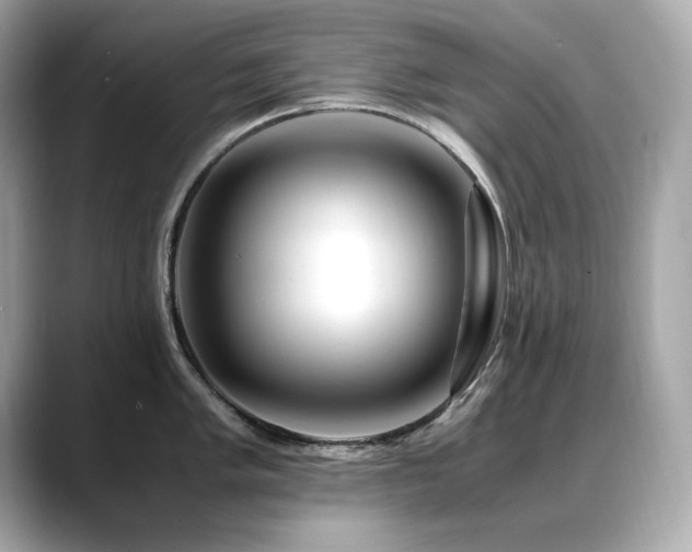 X0000088701005200705311211