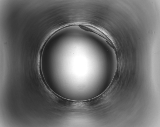 X0000088701006200705311211