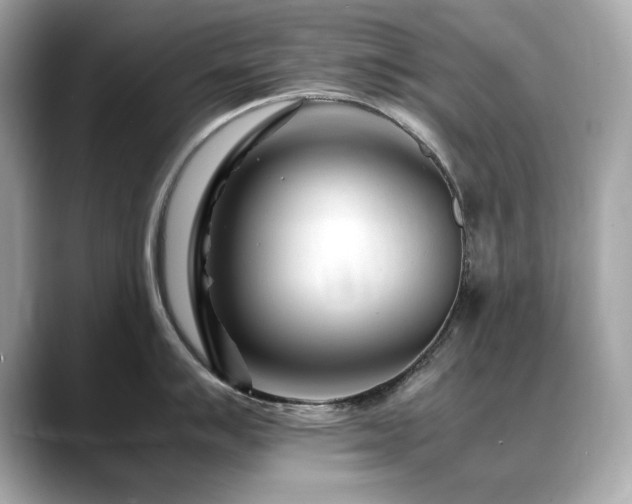 X0000088701007200705311211