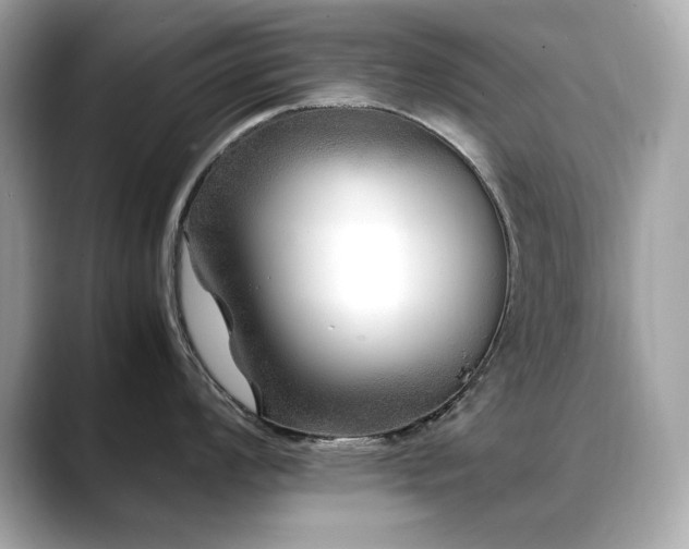 X0000088701008200705311211