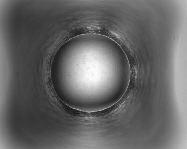 X0000088701009200705311211