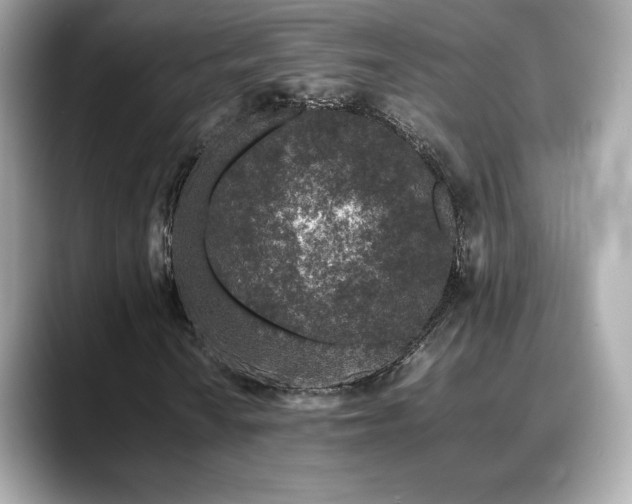 X0000088701010200705311211
