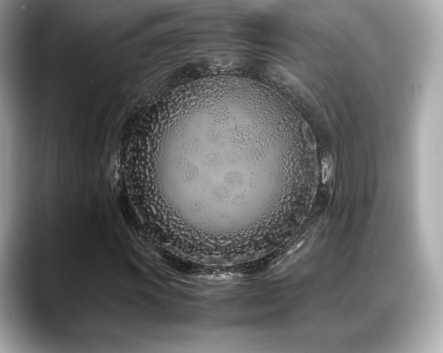 X0000088701011200705311211