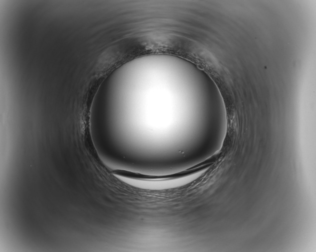 X0000088701012200705311211